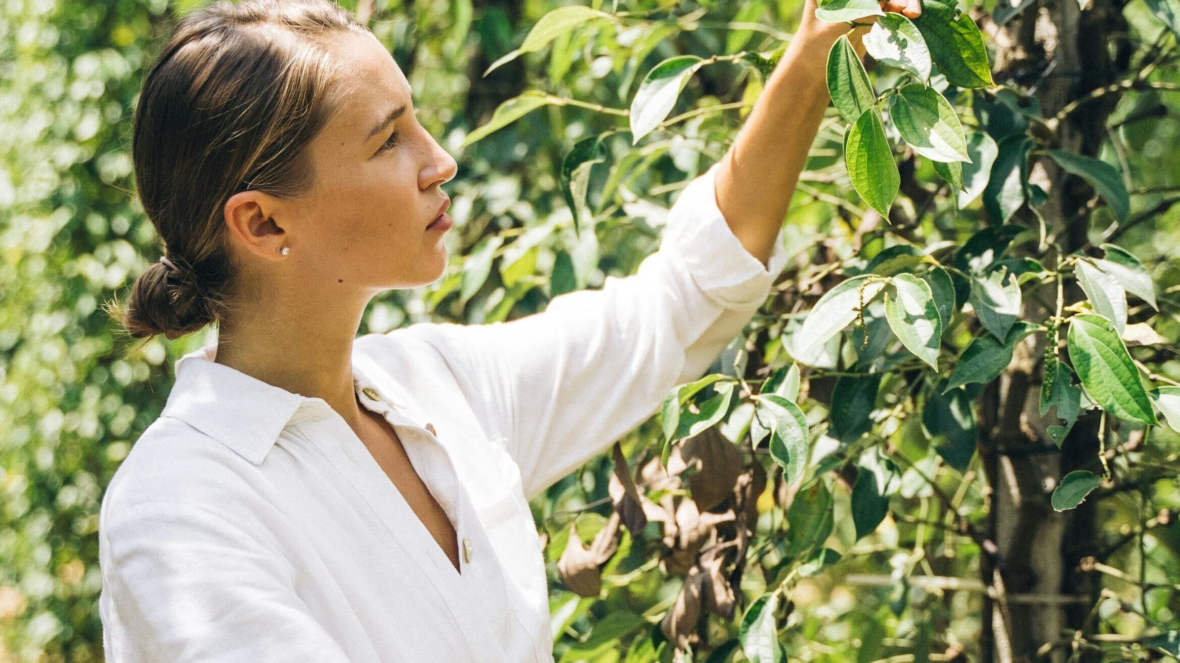 Glyphosate, Heavy Metals and Mold in Your Coffee?