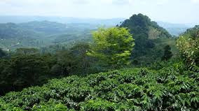 The Connection Between Stress, Hormones; Inflammation