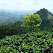 The Connection Between Stress, Hormones; Inflammation