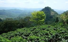 The Connection Between Stress, Hormones; Inflammation